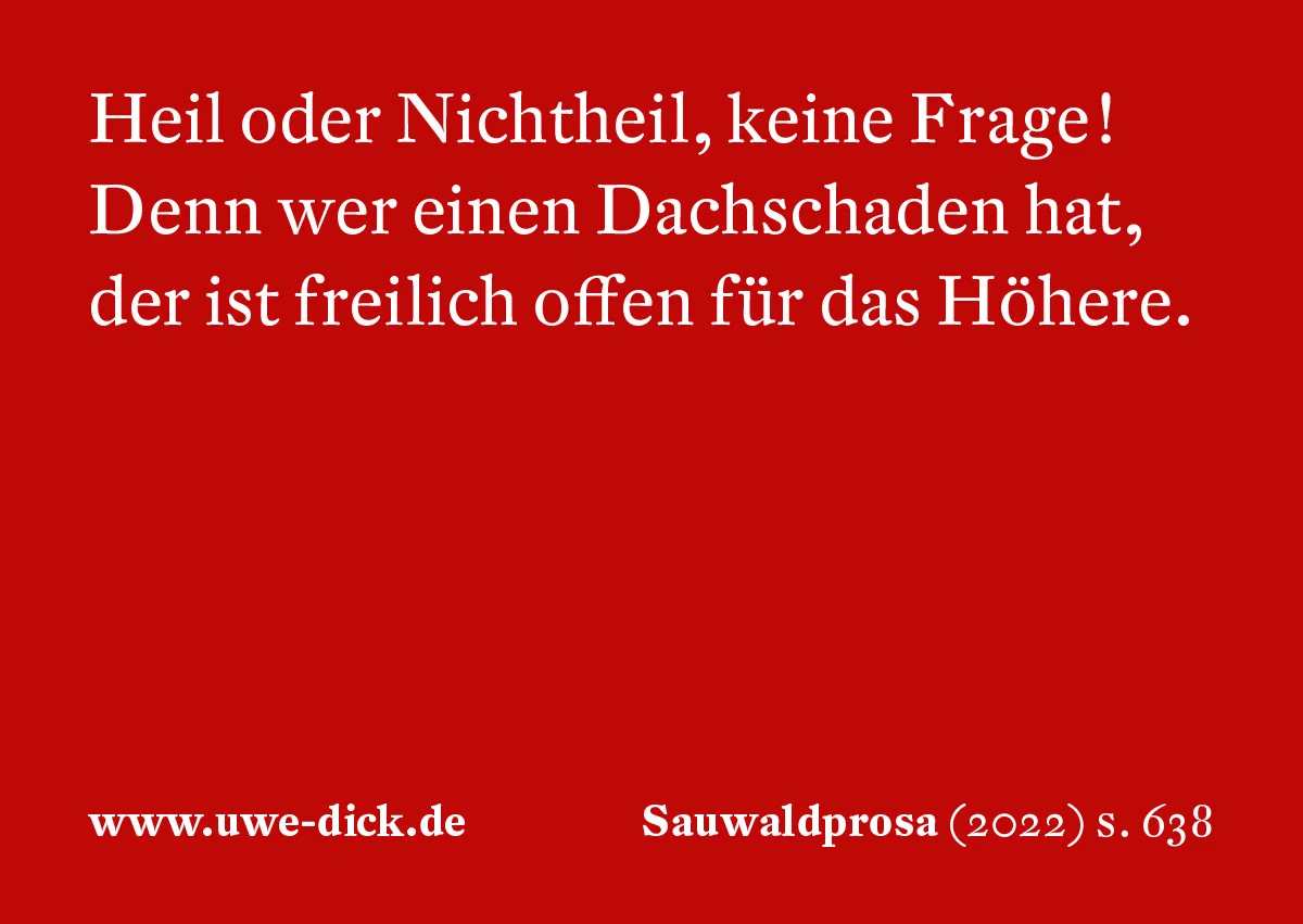 Uwe Dick: Heil oder Nichtheil