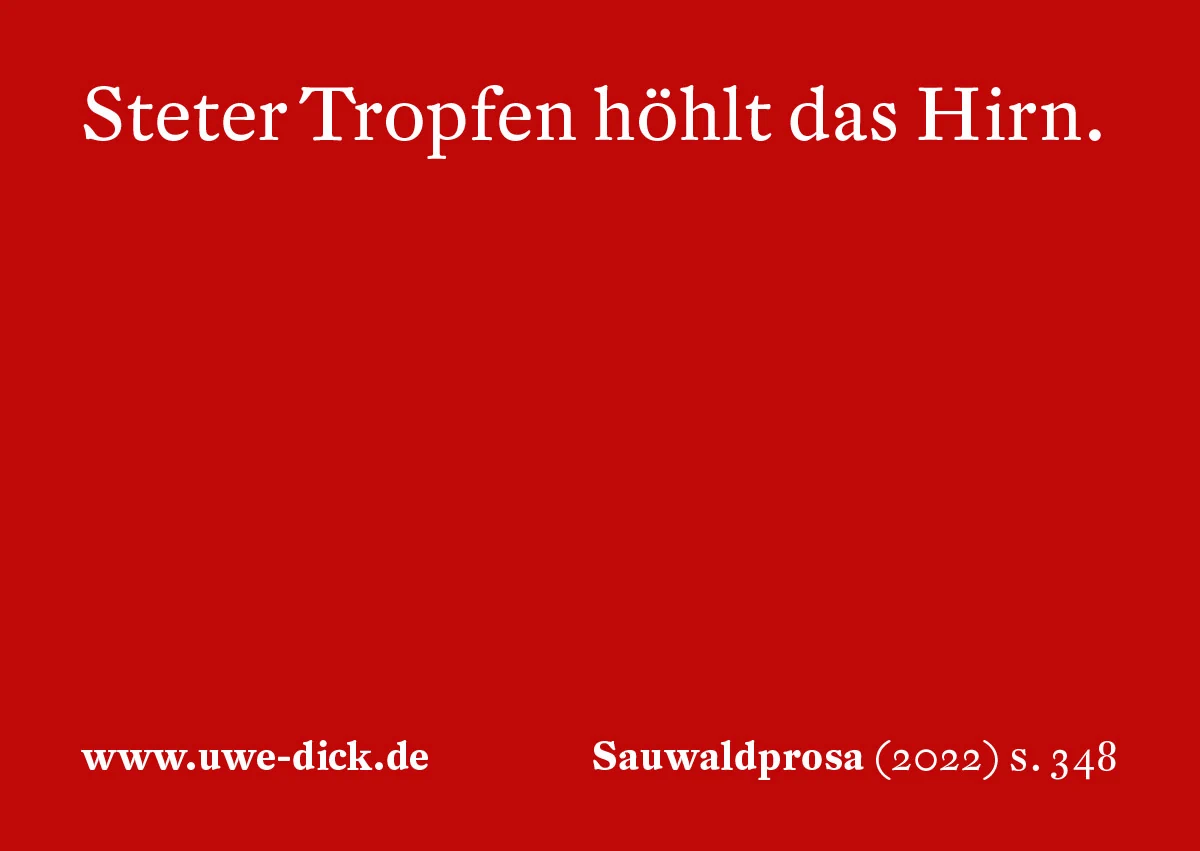 Uwe Dick: Steter Tropfen höhlt das Hirn