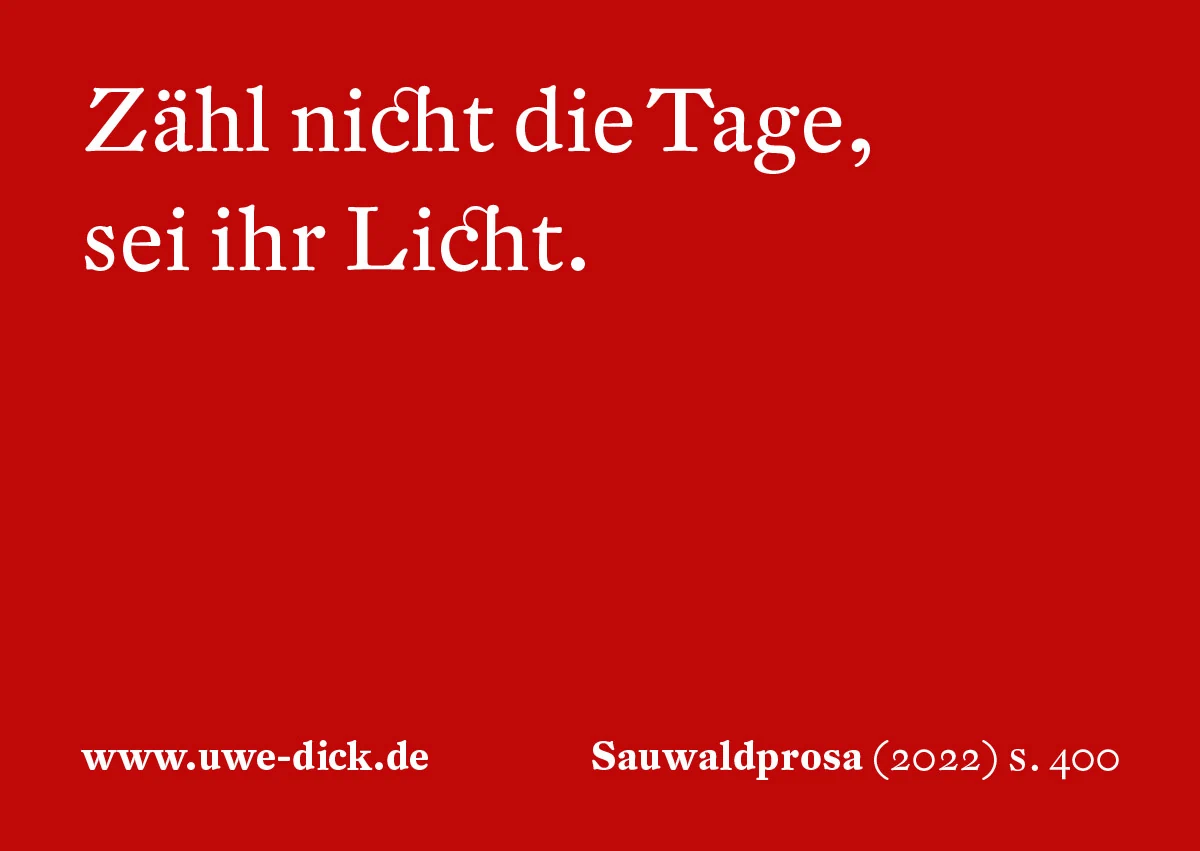 Uwe Dick: Zähl nicht die Tage, sei ihr Licht